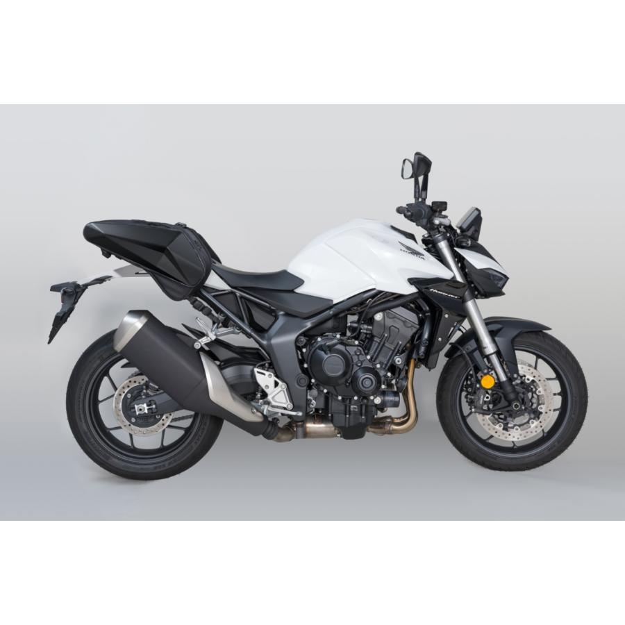 TANAX（タナックス） バイク用バッグ サイドバッグ カービングシェル