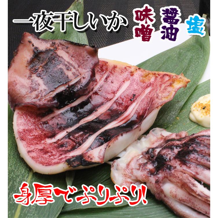 干物セット イカ一夜干し 冷凍 食べ比べセット 6枚 スルメイカ 干物