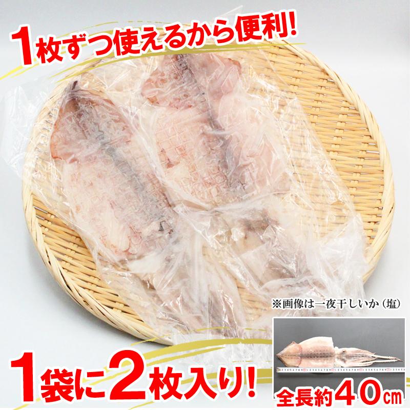 干物セット イカ一夜干し 冷凍 食べ比べセット 6枚 スルメイカ 干物