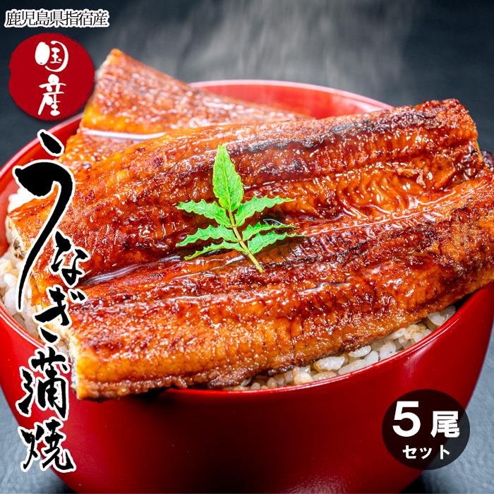 母の日 うなぎ 国産 蒲焼き 5尾セット 鹿児島県 指宿産鰻 長蒲焼き 冷凍 贈り物 お祝い お返し お取り寄せ グルメ 爆買_1