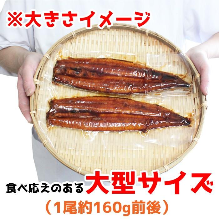 母の日 うなぎ 国産 蒲焼き 5尾セット 鹿児島県 指宿産鰻 長蒲焼き 冷凍 贈り物 お祝い お返し お取り寄せ グルメ 爆買_2
