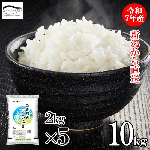 こしいぶき 米 10kg （2kg×5袋）令和7年産 新米 新潟県産 産地直送 お