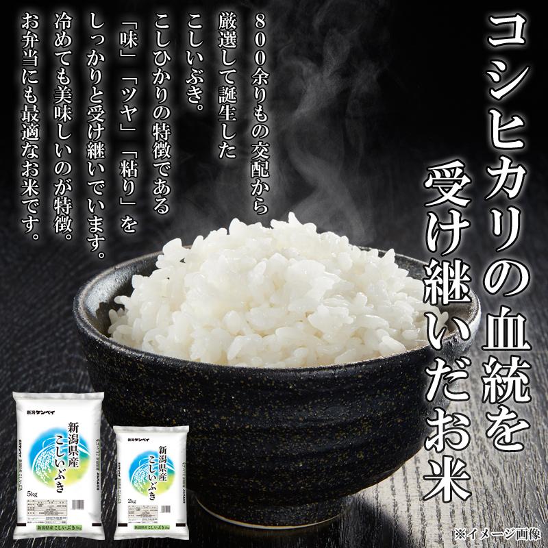 新潟米こしいぶき精白米10kg(5kg×2) 【数量限定】受注後精米朝からごはん こしいぶき 米 10kg （2kg×5袋）令和7年産 新米 新潟県産 産地直送 お