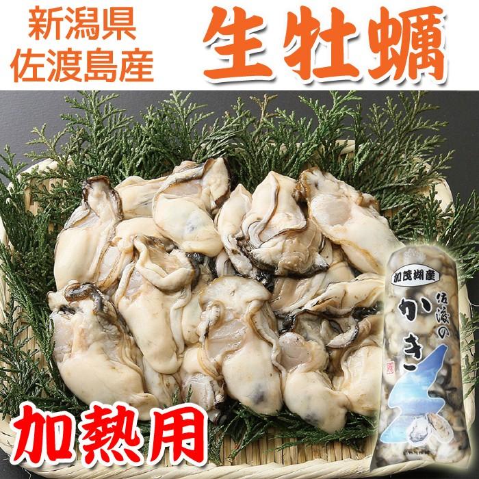 ハロウィン ギフト 新潟の冬の味覚 佐渡産生牡蠣２kg 加熱用 送料無料 佐渡 生牡蠣 かき カキ カキフライ 牡蠣鍋 お取り寄せグルメ Sadokaki2 海鮮問屋 見田元七商店 通販 Yahoo ショッピング