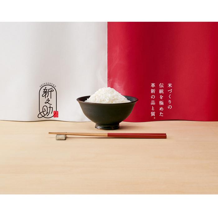 米 10kg 新米 新之助（5kg×2袋）送料無料 新潟県産 令和7年産 産地直送