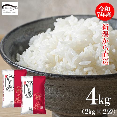 米 4kg (2kg×2袋) 新米 送料無料 新潟県産 令和6年産 新之助 産地直送