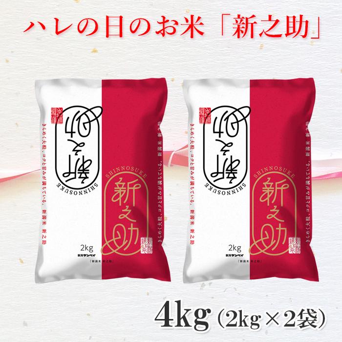 新潟県産新之助5㎏×2袋（令和6年産） 【公式通販】