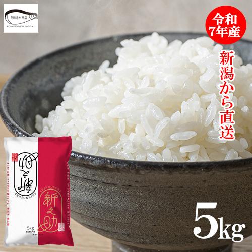 令和7年産　新潟　新之助　白米5キロ2個（5kg×2)1０キロ精米無料★農家直送 令和7年産 新潟県産 新之助 5kg