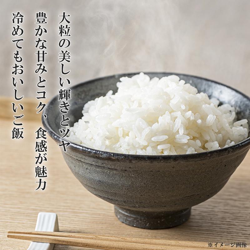 大粒な令和7年産　新潟新之助　白米5キロ2個1０キロ精米無料★農家直送15 令和7年産】つやつや大粒！金匠受賞農家の「新之助・白米5㎏」新潟米