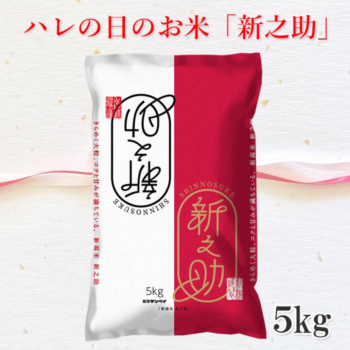 米 5kg 新米 送料無料 新潟県産 令和7年産 産地直送 新之助 お米
