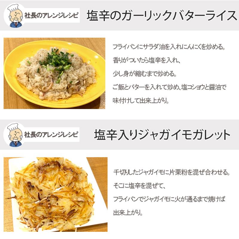 NUNOME 父の日 イカの塩辛 社長のいか塩辛 3パック 100g×3袋 300g
