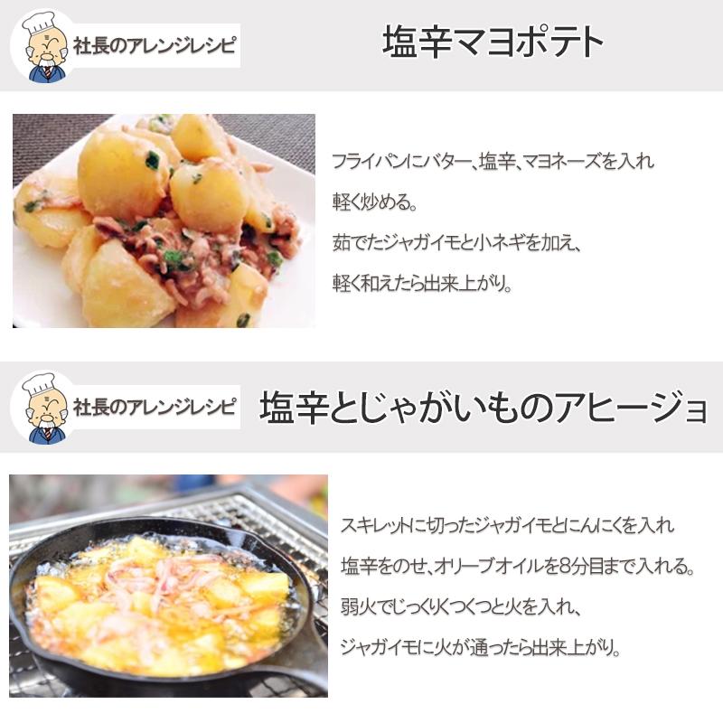 NUNOME イカの塩辛 社長のいか塩辛 6パック 100g×6袋 600g 北海道産