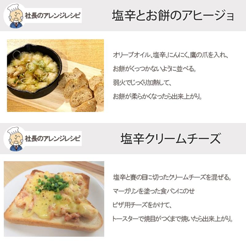 NUNOME 父の日 イカの塩辛 社長のいか塩辛 6パック 100g×6袋 600g