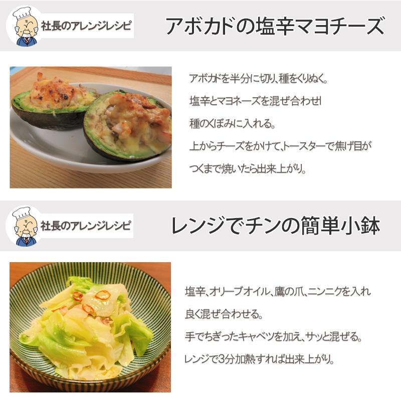 NUNOME 父の日 イカの塩辛 社長のいか塩辛 6パック 100g×6袋 600g