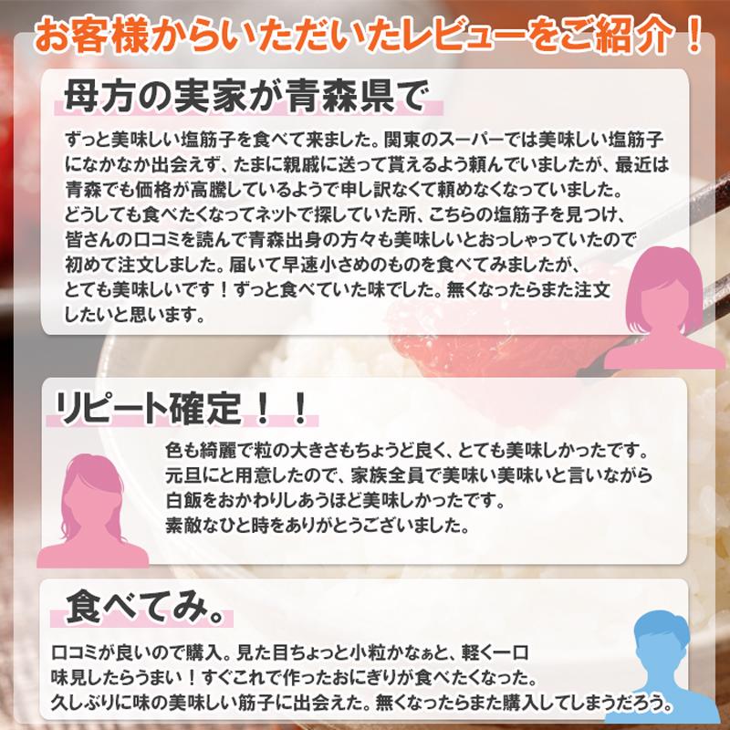 父の日 訳あり 筋子 塩筋子 すじこ 400g メガ盛り 塩漬け 塩 切れ子