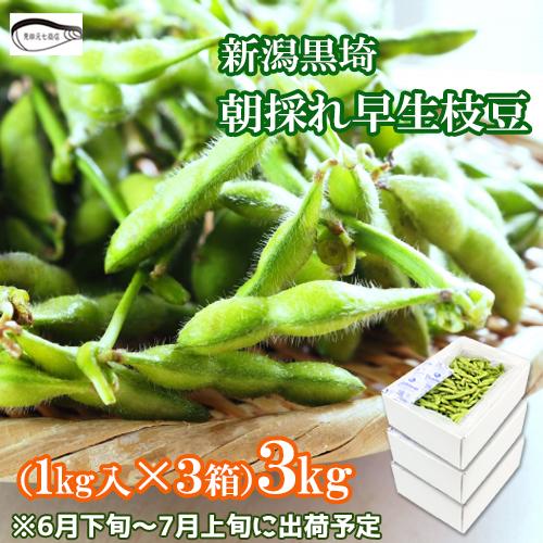 【makiminさん専用】新潟黒埼産枝豆 初だるまA品3キロ 0080-001.jpg