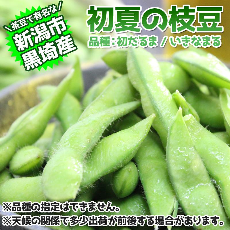 申込期間は7/4迄 枝豆 早生枝豆 3kg 新潟県産 夏 ギフト