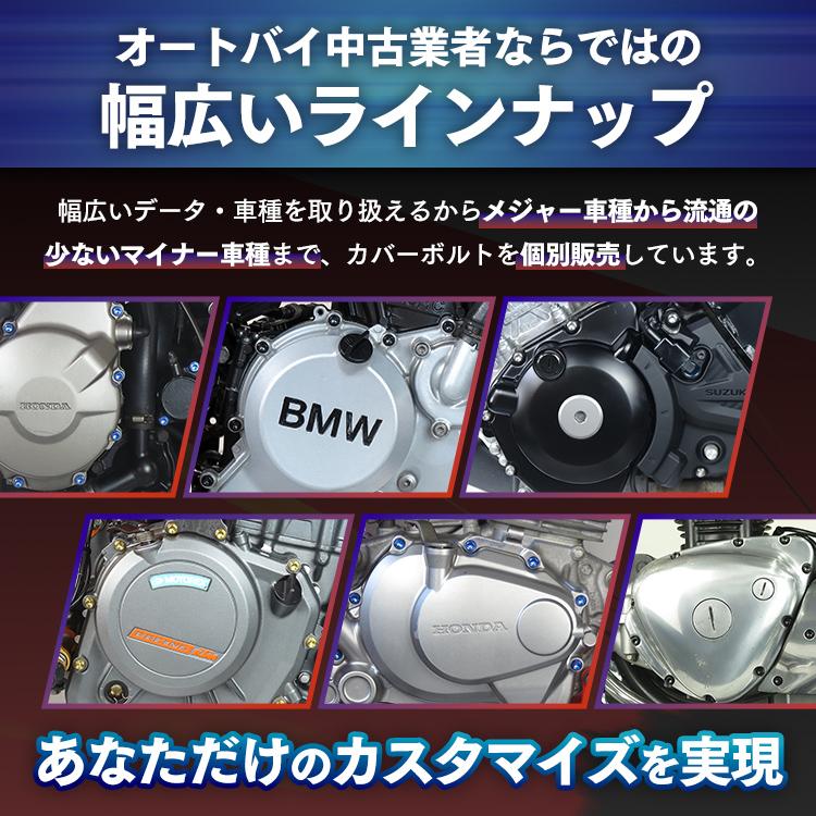▽TT250R/レイド 4GY チタンボルトセット ジェネレーターエンジン