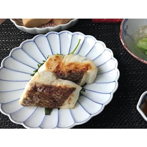 皿　有田焼　5枚セット　菊型　貴好　銘々皿 皿 有田焼 5枚セット 菊型 貴好 銘々皿