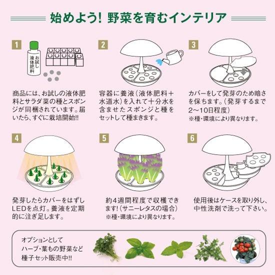 水耕栽培器 Akarina01 灯菜 サラダ菜種子 液体肥料 スポンジ付 水耕栽培器 Akarina01 灯菜 サラダ菜種子 液体肥料 スポンジ付