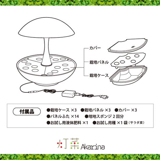 水耕栽培器 Akarina01 灯菜 サラダ菜種子 液体肥料 スポンジ付