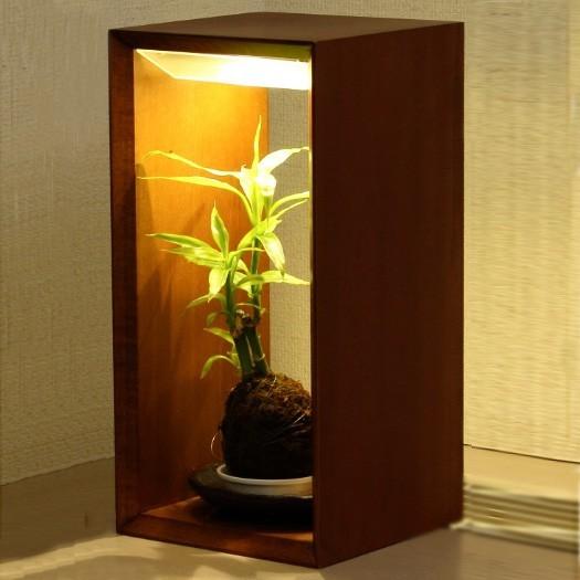 植物育成ライト 水耕 多肉植物 盆栽 サボテン 室内栽培 木製ボックス Akarina10 アカリーナ Mai10 植物シェルフ Led Mai10 灯り工房モトム ヤフー店 通販 Yahoo ショッピング