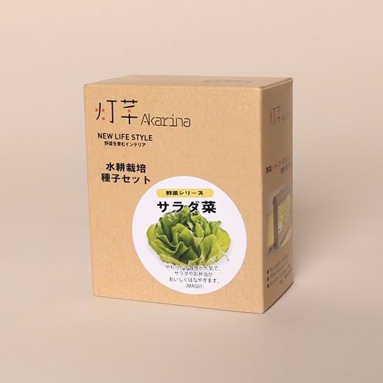 たね 野菜の種 サラダ菜水耕栽培種子セット サラダ菜タネ約20粒・液体