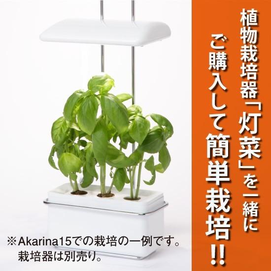 ハーブ 種 バジル 水耕栽培用種子 バジル種子約30粒 液体肥料50ml 培地スポンジ30個 定形外郵便なら送料340円 Mas06 灯り工房モトム ヤフー店 通販 Yahoo ショッピング
