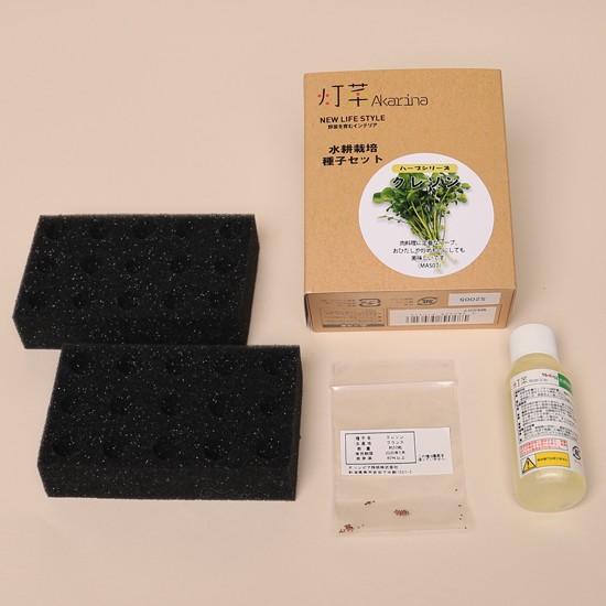 ハーブの種 クレソン水耕栽培用種子セット クレソンタネ約50粒 液体肥料50ml 培地スポンジ30個 定形外郵便なら送料340円 Mas07 灯り工房モトム ヤフー店 通販 Yahoo ショッピング