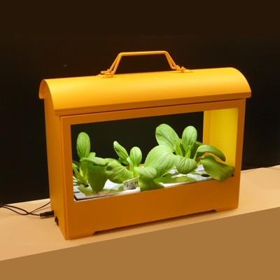 水耕栽培キット Akarina05 オレンジ OMA05OR サラダ菜種子 液体 水耕栽培キット Akarina05 オレンジ OMA05OR サラダ菜種子 液体
