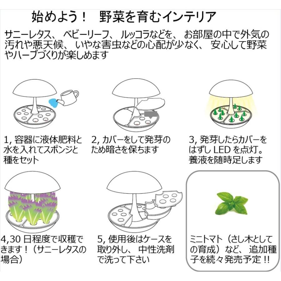 水耕栽培キット Akarina05 ブルー サラダ菜たね スポンジ 液体肥料 灯
