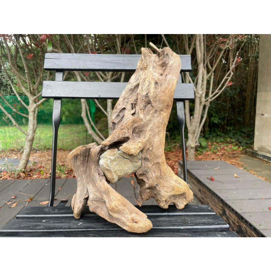 天然流木 石の挟まった珍しい流木です 石の挟まった珍しい流木です R001ならショッピング ランキングや口コミも豊富なネット通販 更にお得なpaypay残高も スマホアプリも充実で毎日どこからでも気になる商品をその場でお求めいただけます 家具 インテリア その他