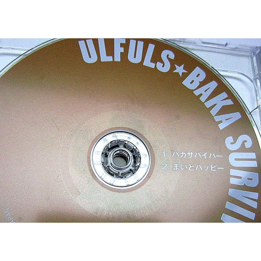 ウルフルズ CD+DVD 3枚セット ウルフルズ CD+DVD 3枚セット