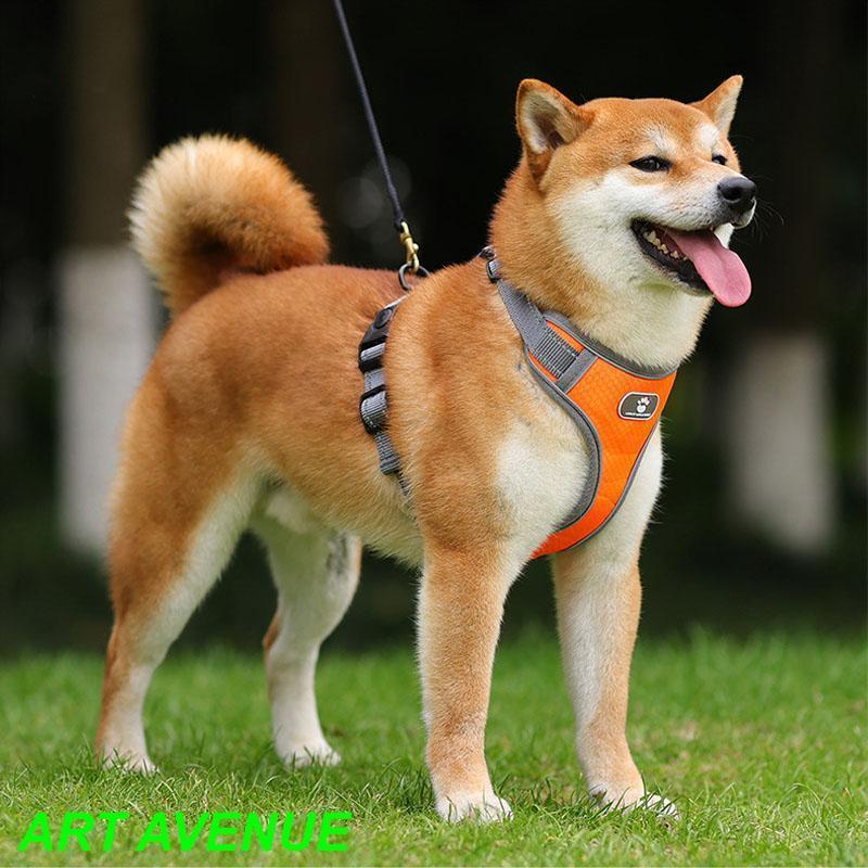 犬 ハーネス リード 中型犬 大型犬 小型犬 柴犬 ステップハーネス ウェアハーネス 犬用 介護用 首輪 ハンドル付き｜motomurastore3｜10