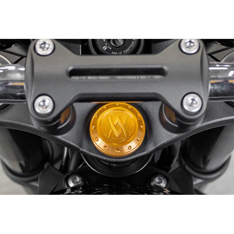 カワサキ Z900RS/CAFE ステムトップキャップカバー ゴールド