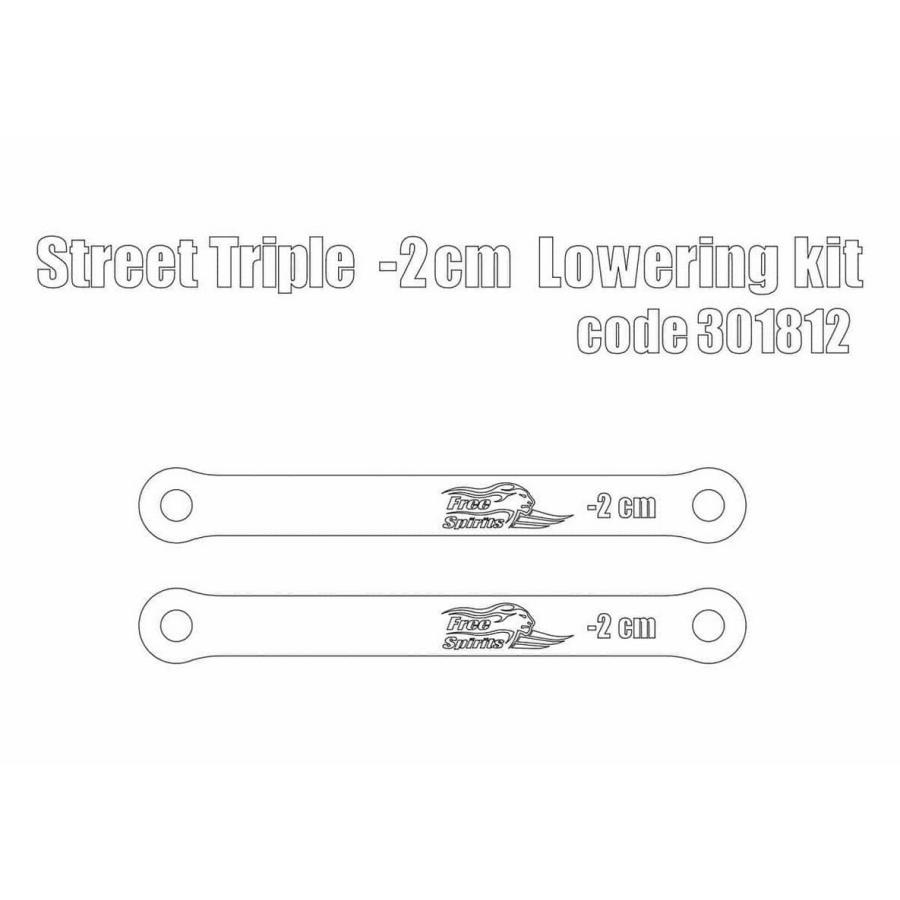 トライアンフ ストリートトリプル ローダウンキット -20mm FREE SPIRITS