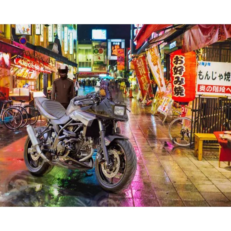 SV650 フロントカウル フェアリング カタナ(刀) コンバージョンキット