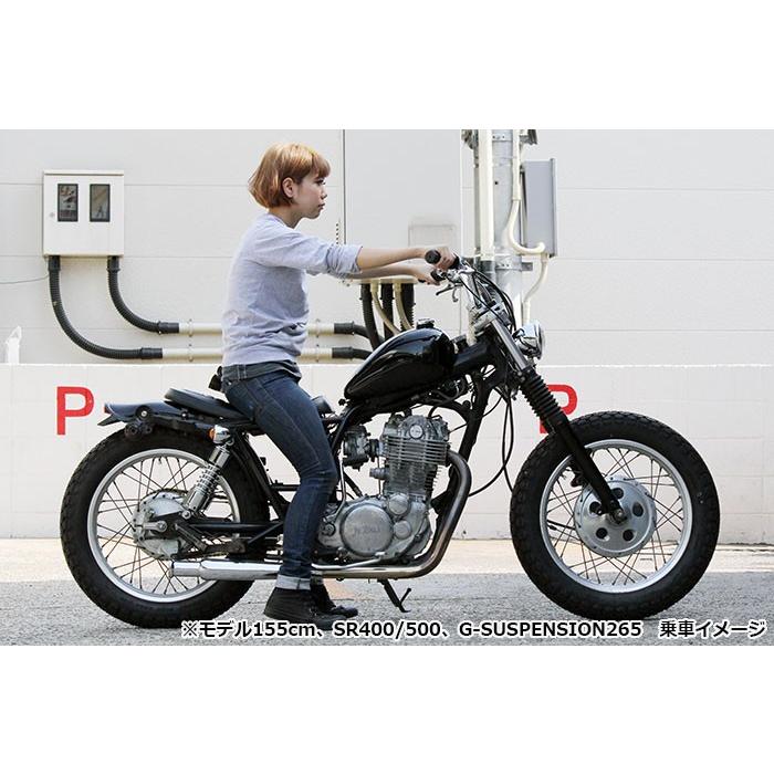 グッズ(GOODS) G-SUSPENSION265 ローダウンサスペンション グッズ(GOODS) G-SUSPENSION265 ローダウンサスペンション