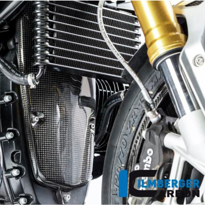 BMW R NINE T 14- カーボンオルタネーターカバー イルムバーガー