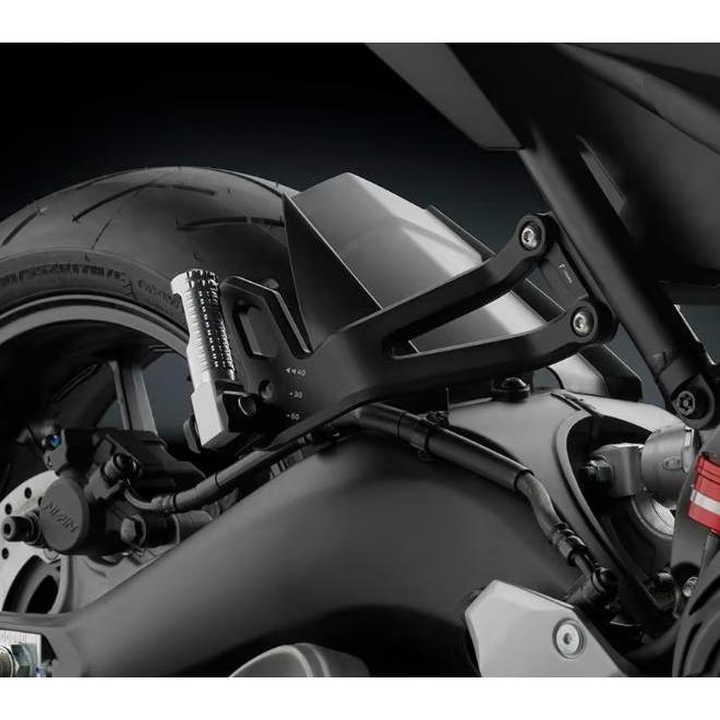 MT-10/-09, XSR900 パッセンジャペグプレート リゾマ RIZOMA