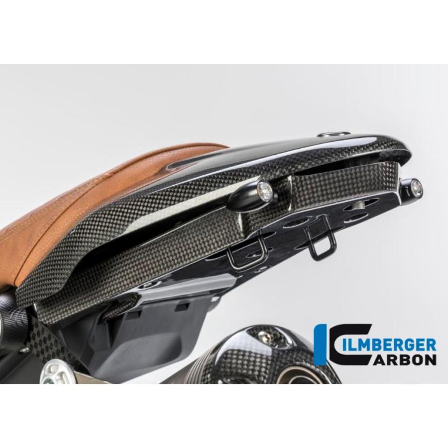 BMW R NINE T 14-20 カーボンリアアンダートレイ （ナンバープレート