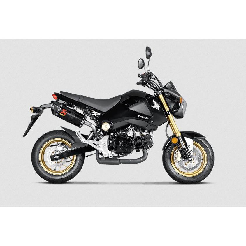 Akrapovic (アクラポヴィッチ) スリップオンマフラー・カーボン