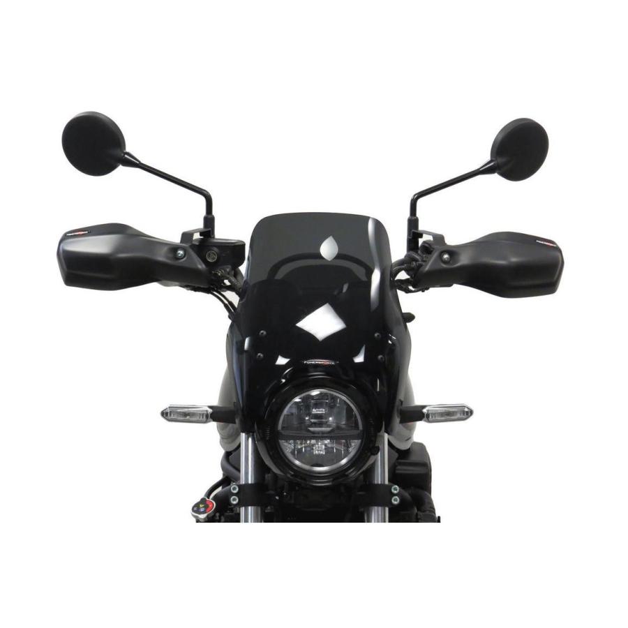 カワサキ Z650RS 2022- ウインドシールド スクリーン ロング(285mm