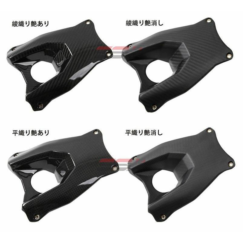 BMW S1000RR フロントフェンダー ドライカーボン SPEEDRA : モトパーツ