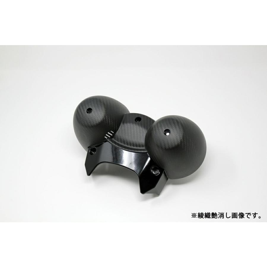 Z900RS メーターカバー ドライカーボン SPEEDRA