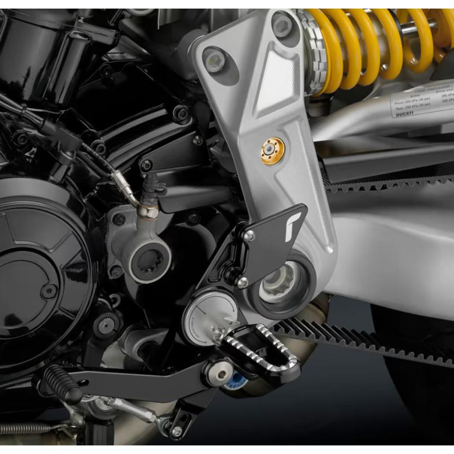 DUCATI Xディアベル フロントスプロケットカバー リゾマ