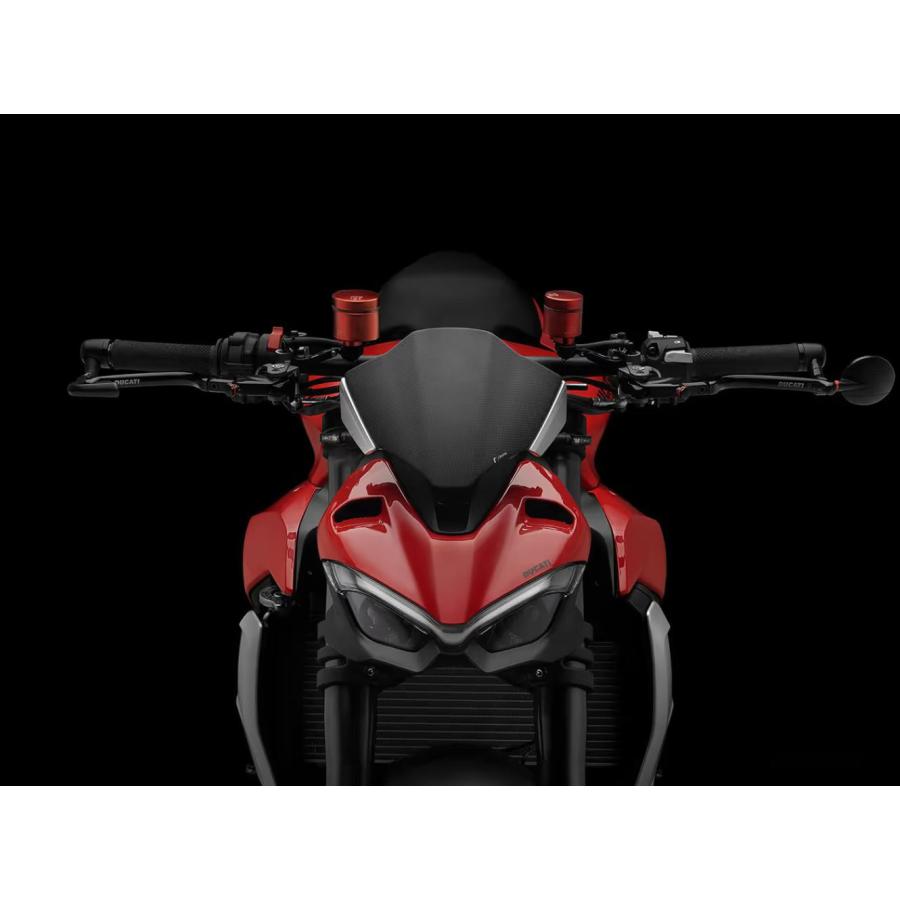 DUCATI ストリートファイター V2 カーボンヘッドライトフェアリング