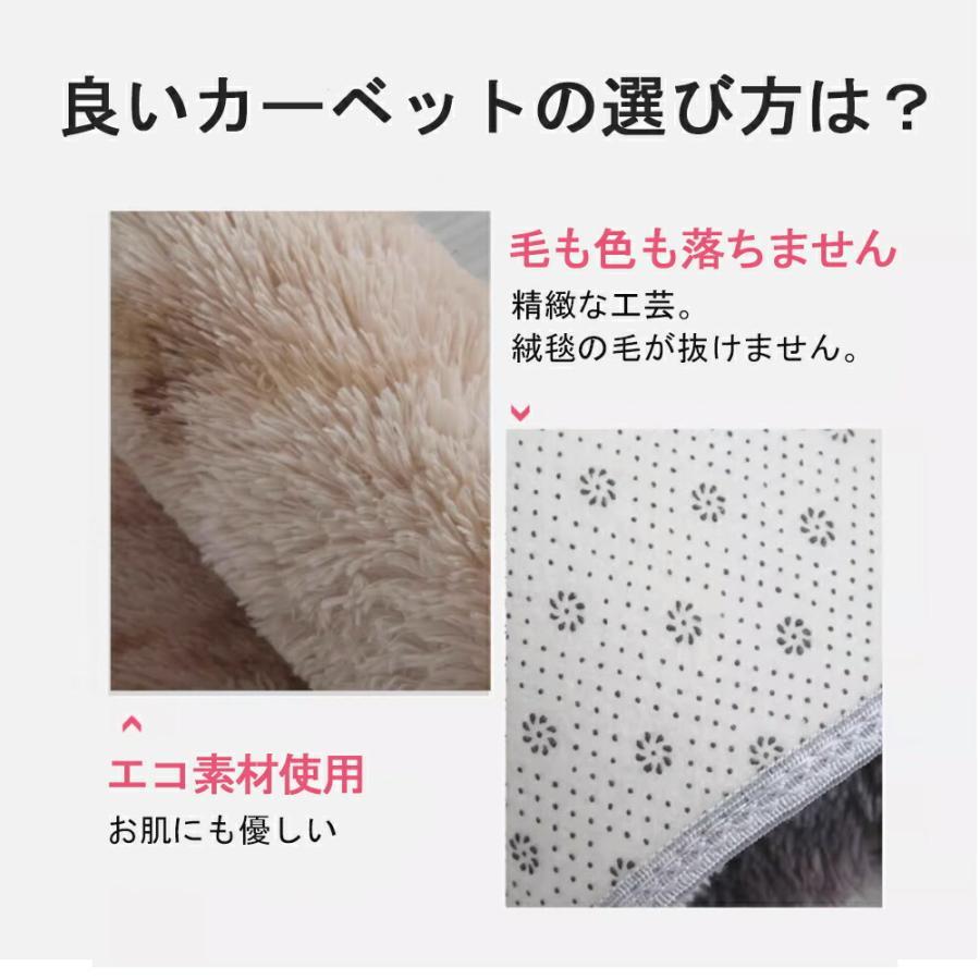 カーペット ラグマット 200*250 洗える 滑り止め付 防ダニ 抗菌 防臭