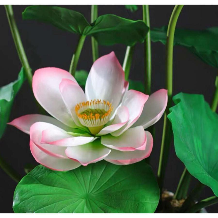 造花 盆栽 インテリアフラワー お部屋の装飾 フラワーポット入り ハス造花ブーケ 造花 盆栽 インテリアフラワー お部屋の装飾 フラワーポット入り ハス