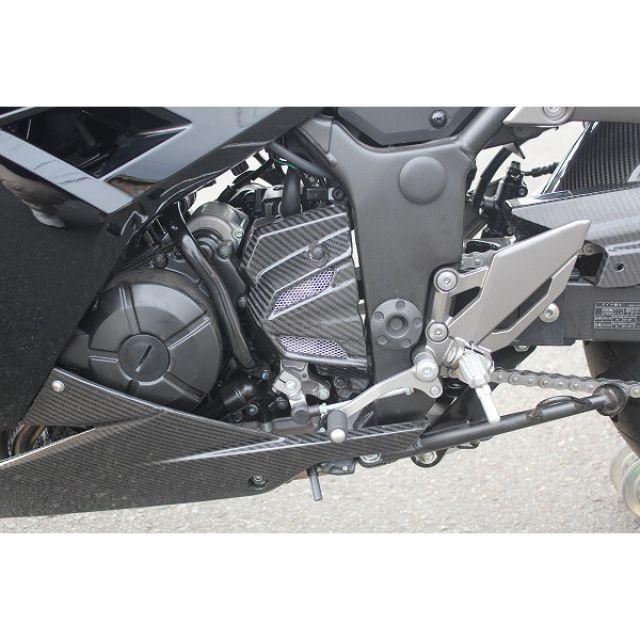 SPEEDRA NINJA250/Z250 KAWASAKI NINJA250/Z250 13-用 SSKオリジナル スプロケットカバー ドライカー…の画像